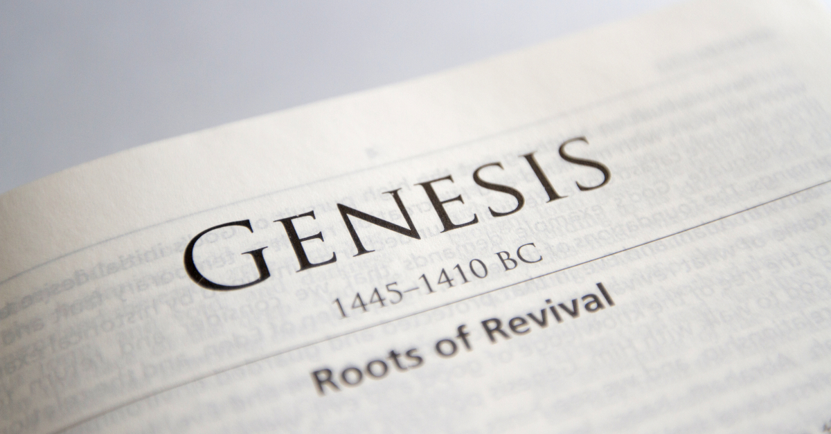 The Bible Chapters from Genesis - Web