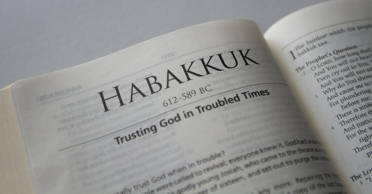 The Bible Verses from Habakkuk Chapter 1 - Kjv