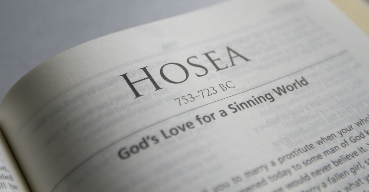 The Bible Verses from Hosea Chapter 7 - Kjv