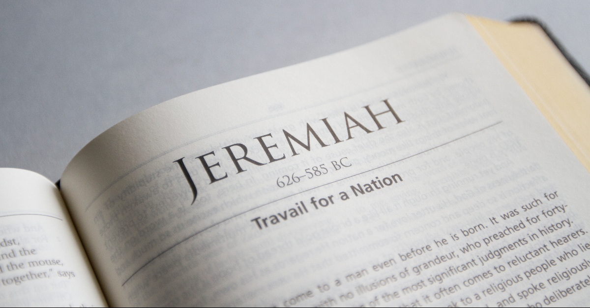 The Bible Verses from Jeremiah Chapter 29 - Web