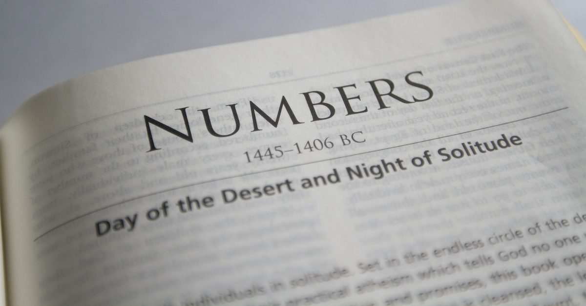 The Bible Verses from Numbers Chapter 8 - Web