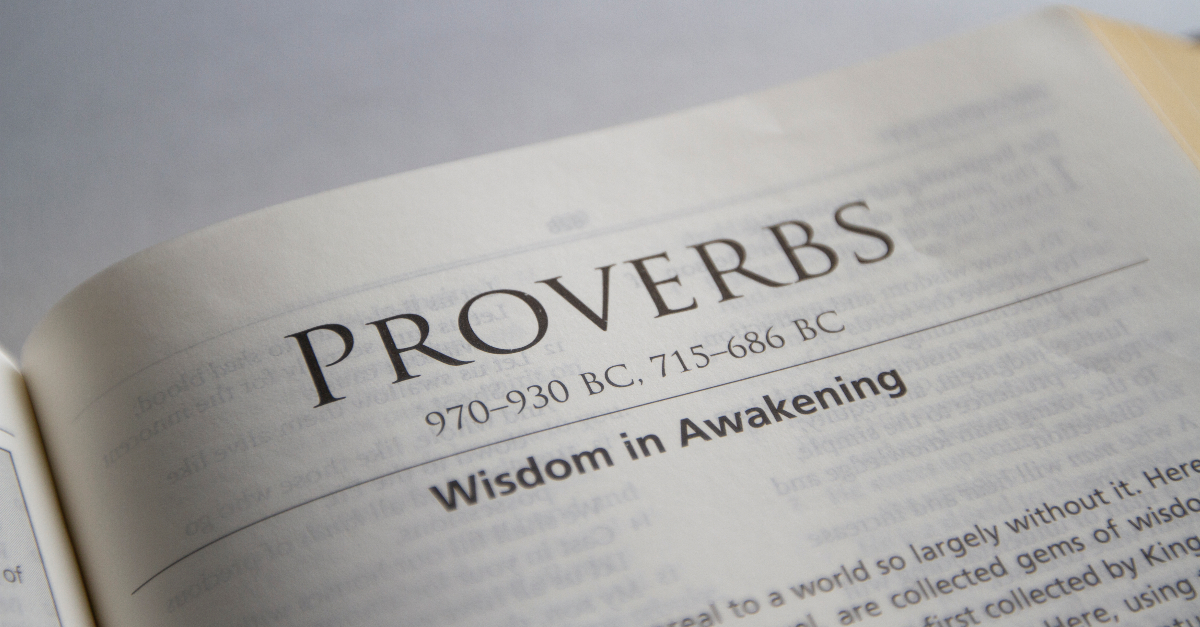 The Bible Chapters from Proverbs - Ylt