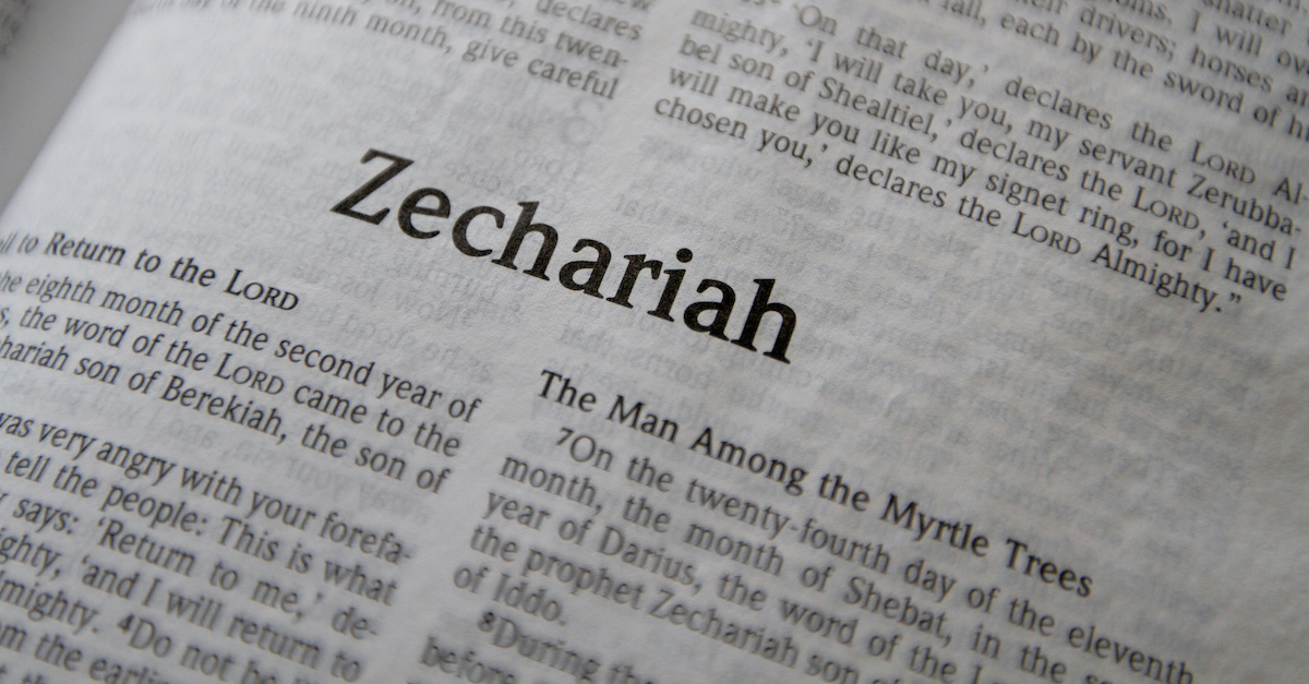 The Bible Verses from Zechariah Chapter 3 - Ylt
