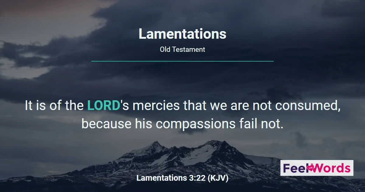 Book of Lamentations — Read All 5 Chapters