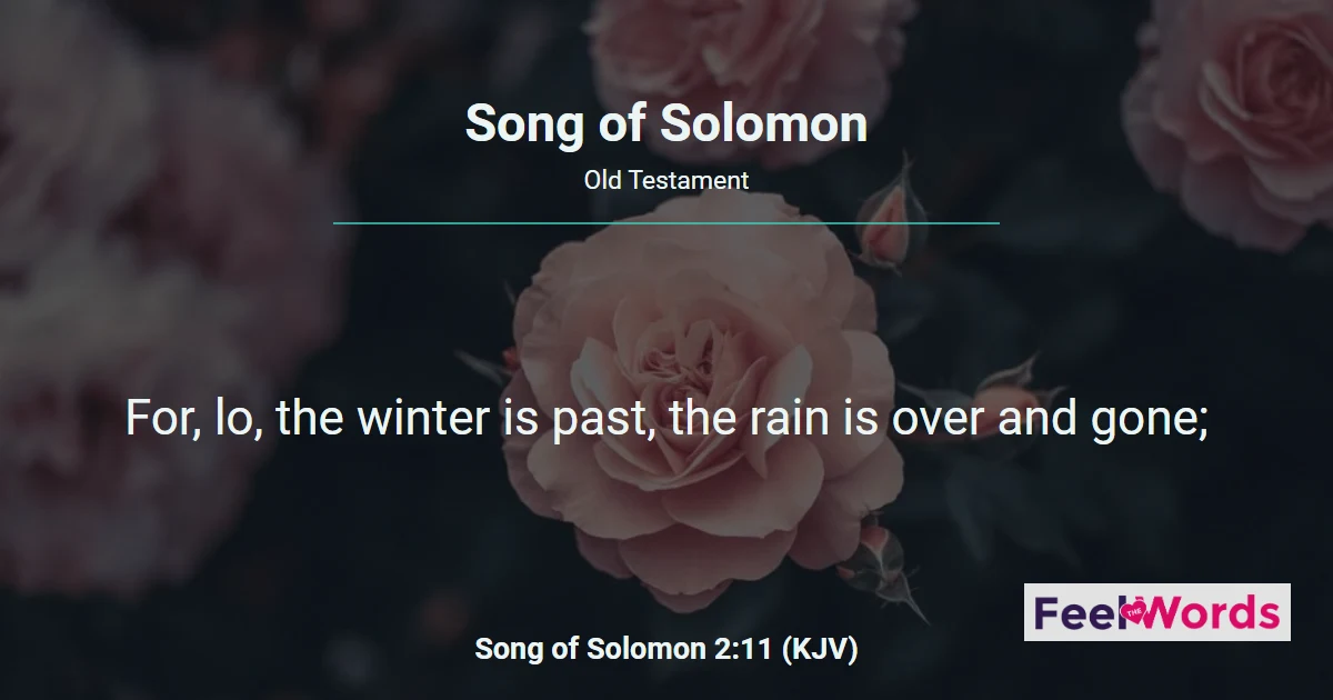 Song of Solomon — Read All 8 Chapters