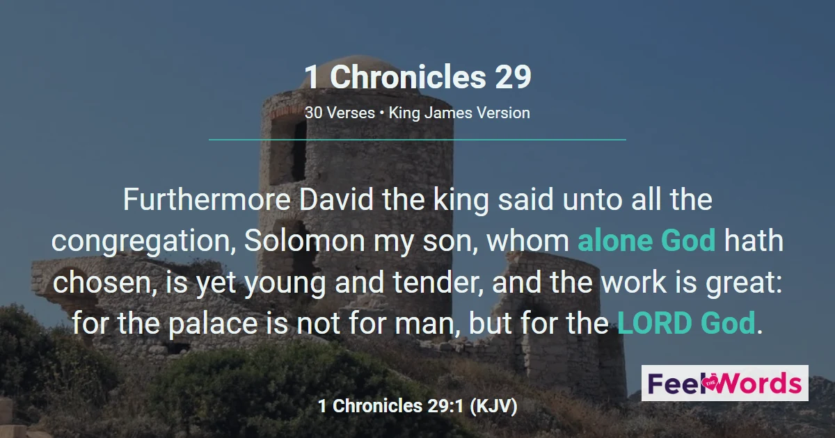 1 Chronicles 29 – David's Final Offering