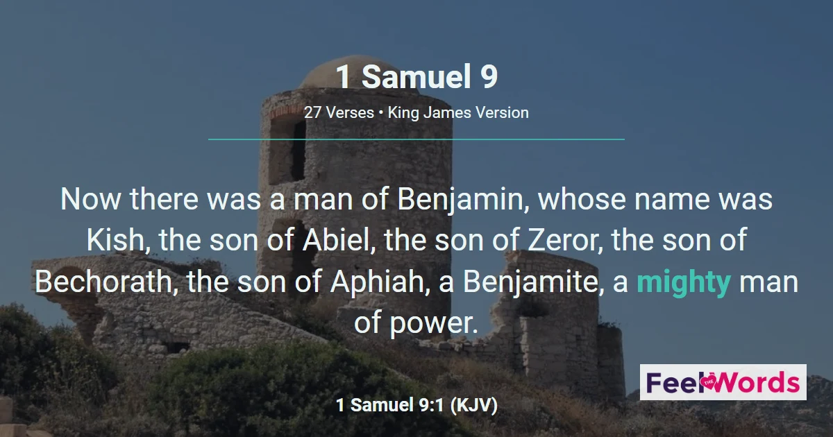 1 Samuel 9: Saul Searches for Lost Donkeys