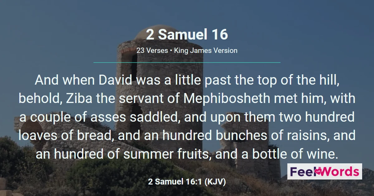 2 Samuel 16: Shimei Curses King David
