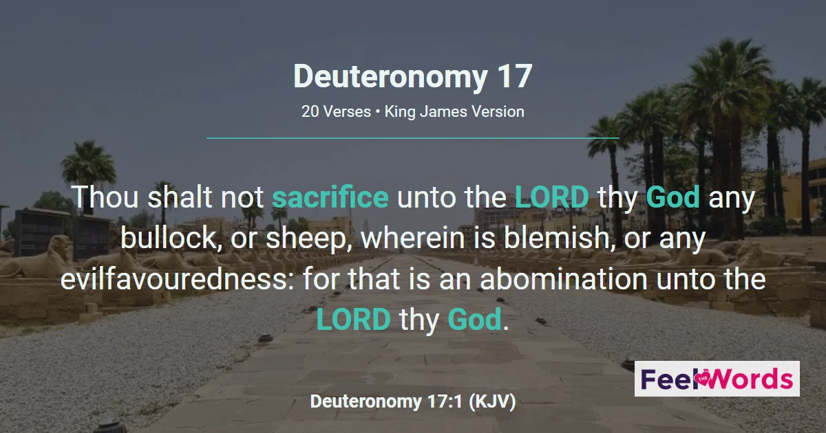 Deuteronomy 17: Witnesses, Judges, and the King
