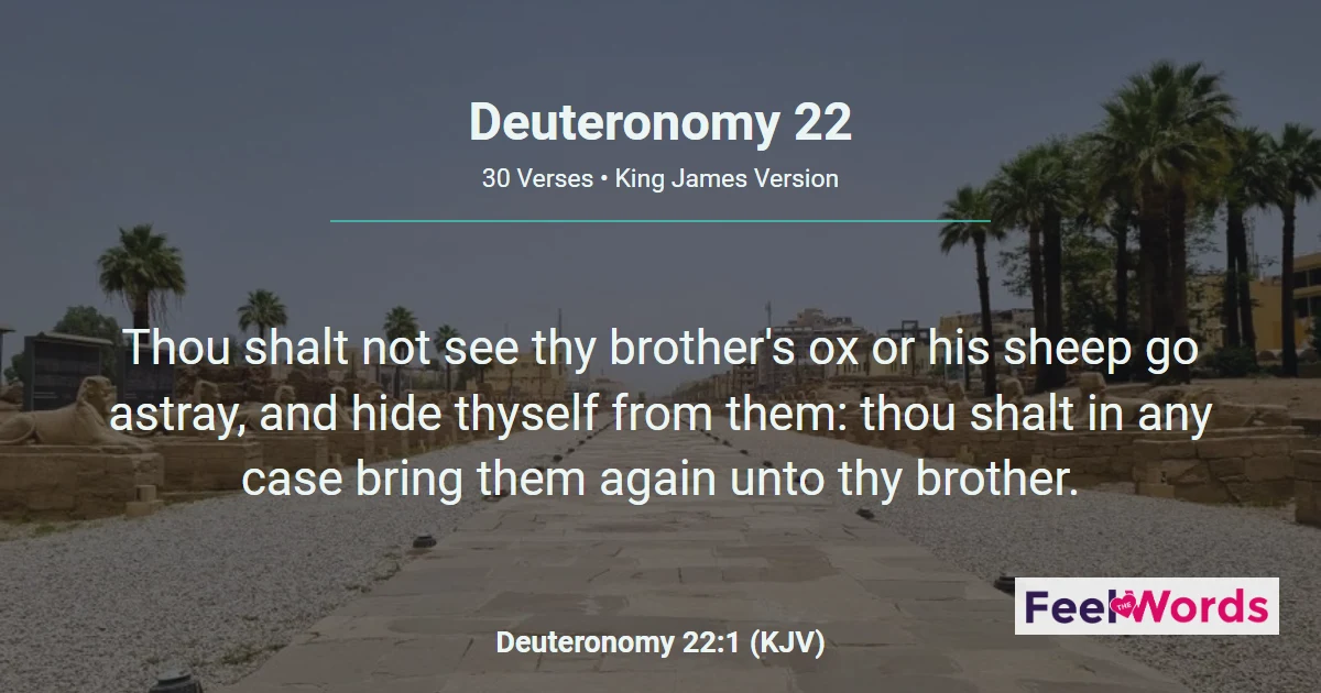 Deuteronomy 22: Property, Purity, and Marriage Laws