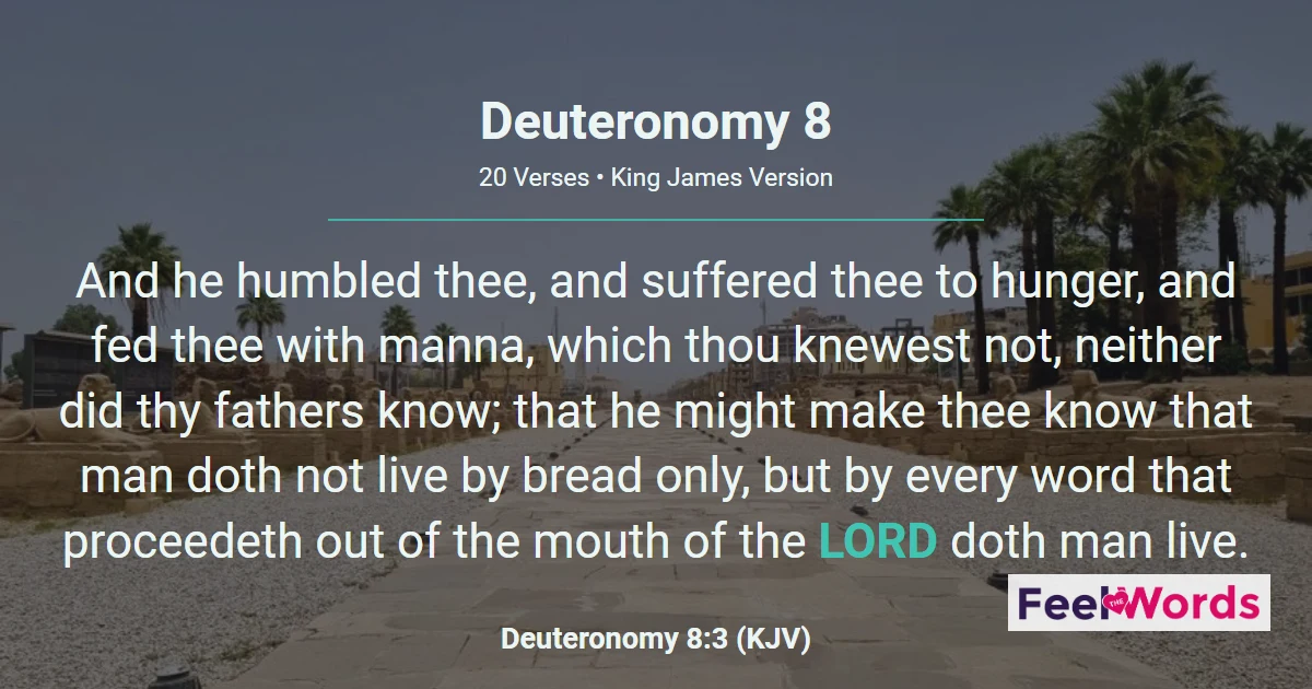 Deuteronomy 8: Man Shall Not Live by Bread Alone