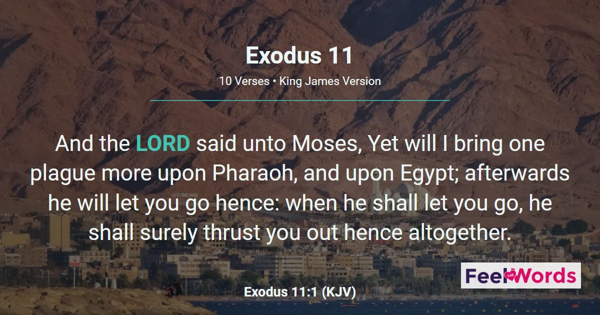 Exodus 11: The Final Plague Foretold