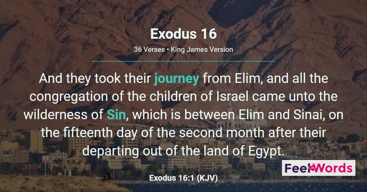 Exodus 16: Manna From Heaven