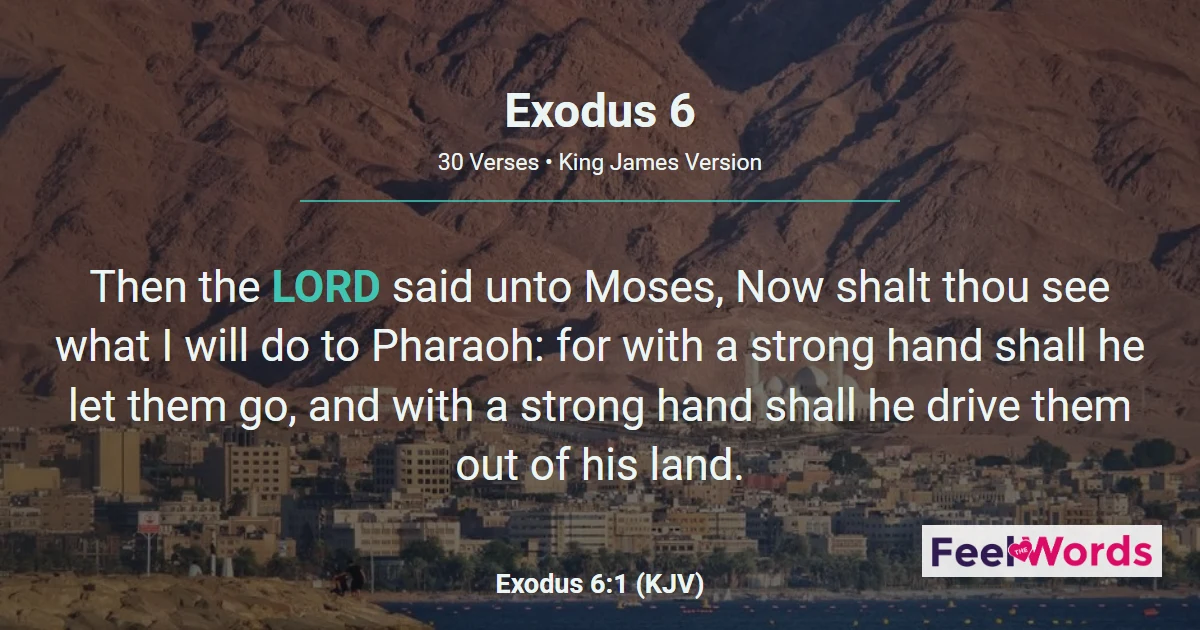 Exodus 6: God Renews His Covenant Name