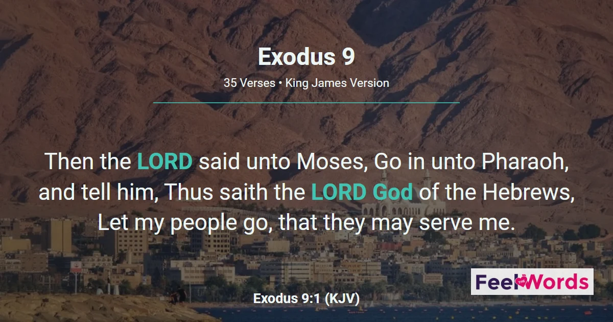 Exodus 9: Livestock, Boils, and Hail