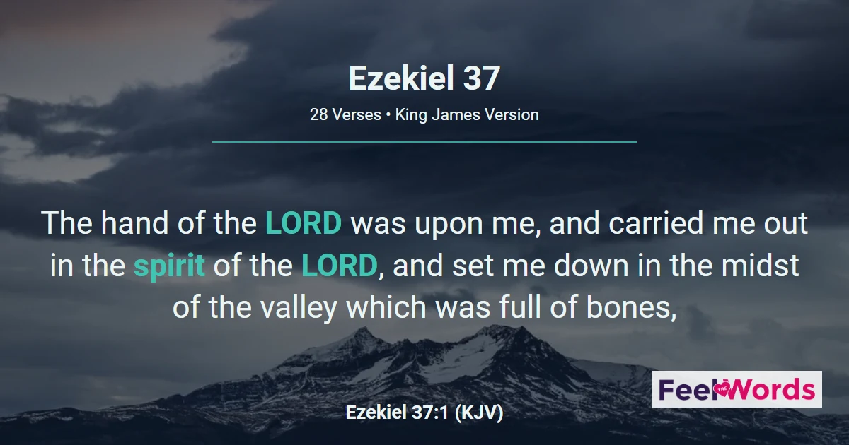 Ezekiel 37: The Valley of Dry Bones