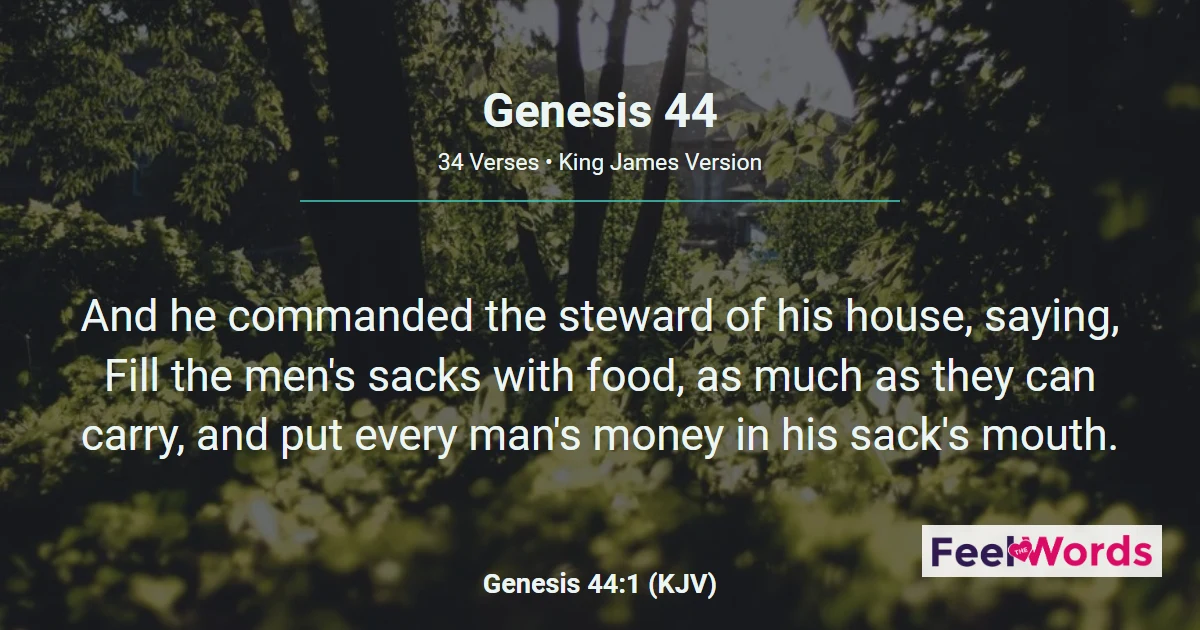 Genesis 44: The Silver Cup in Benjamin's Sack