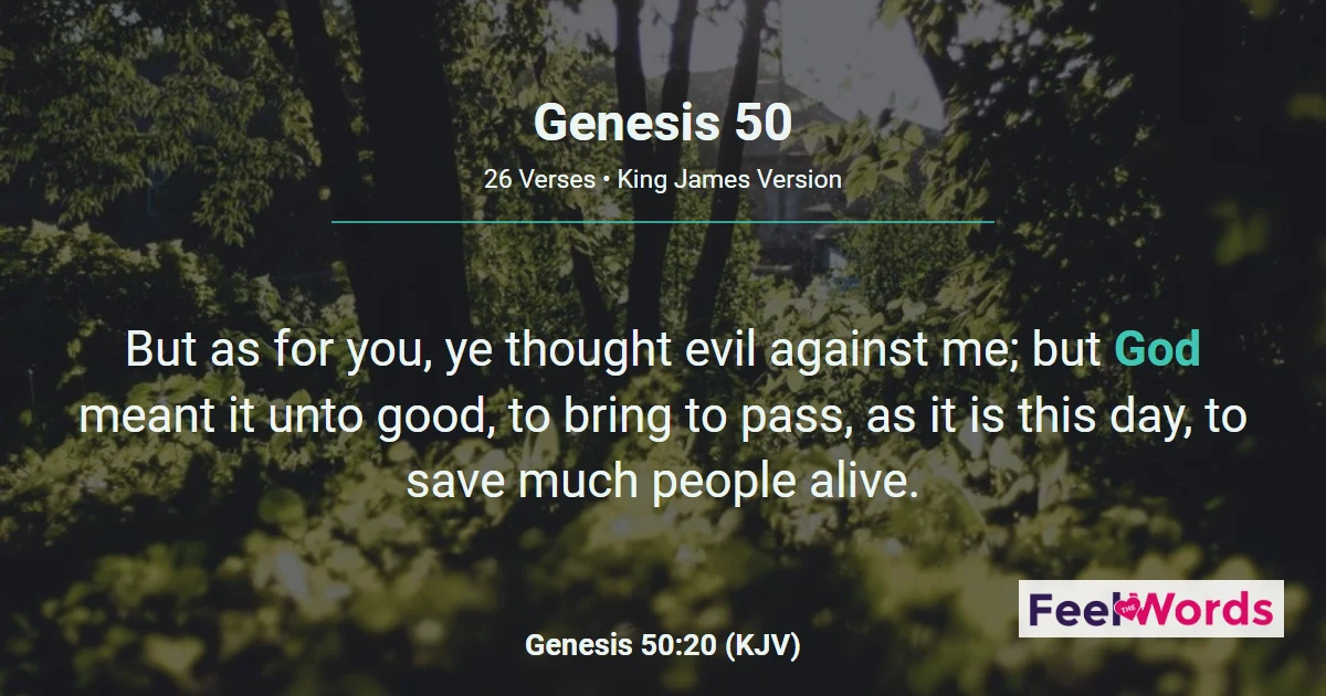 Genesis 50: Joseph Buries Jacob, Forgives Brothers