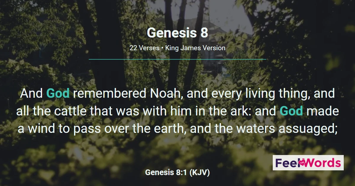 Genesis 8: The Waters Recede