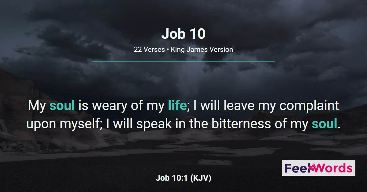Job 10: Job Questions His Creator