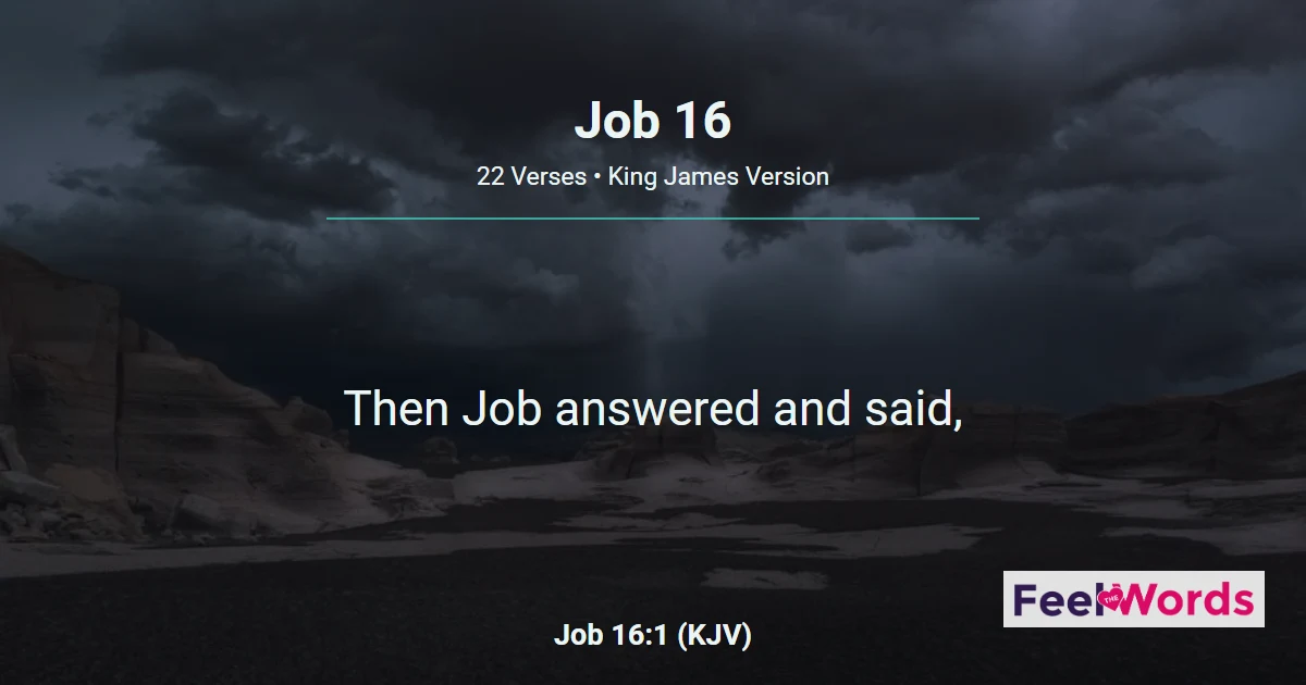 Job 16: Job Calls His Friends Miserable
