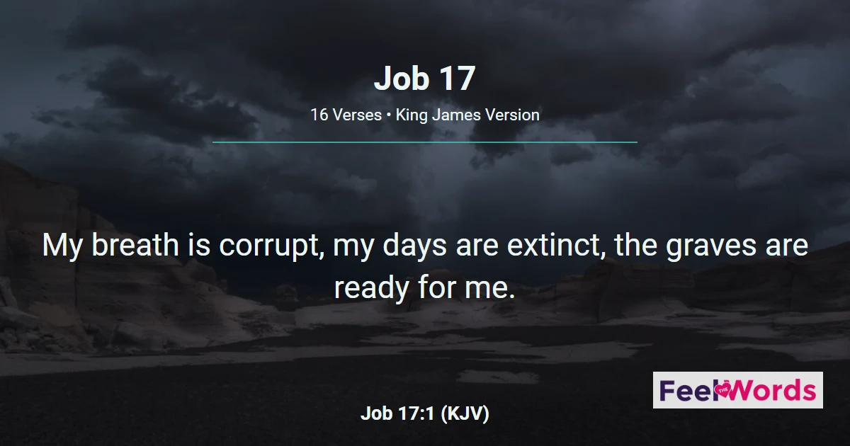 Job 17: Job's Despair and Fading Hope