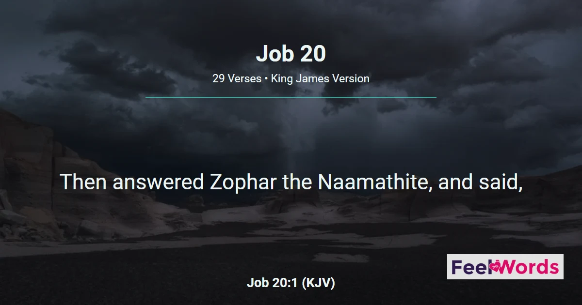Job 20: Zophar on the Wicked's Downfall
