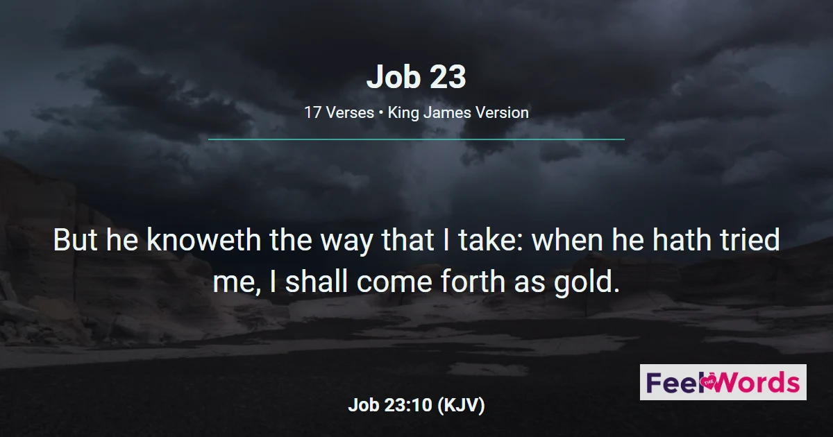 Job 23: Job Longs to Find God
