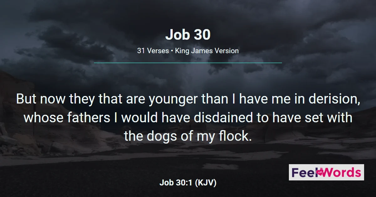 Job 30 - Job's Honor Turns to Scorn