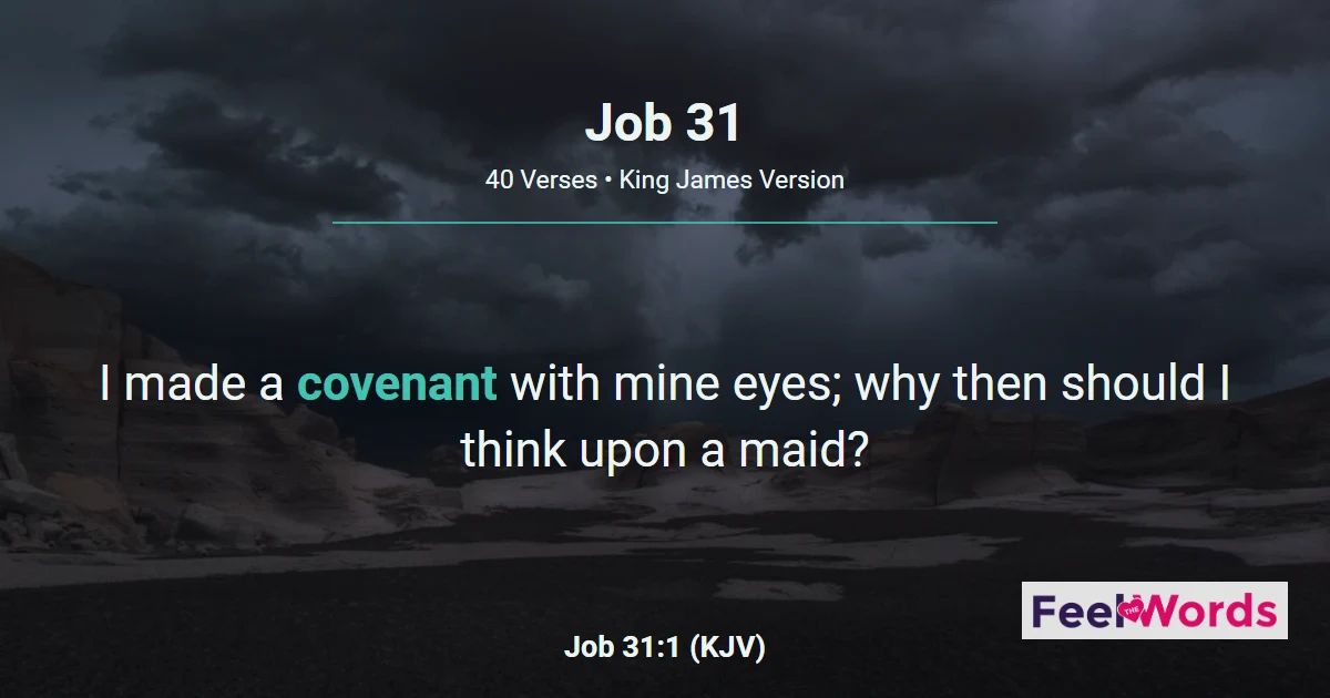 Job 31 - Job's Final Oath of Innocence