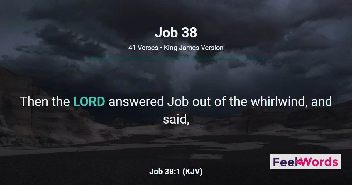 Job 38 - The LORD Answers Job