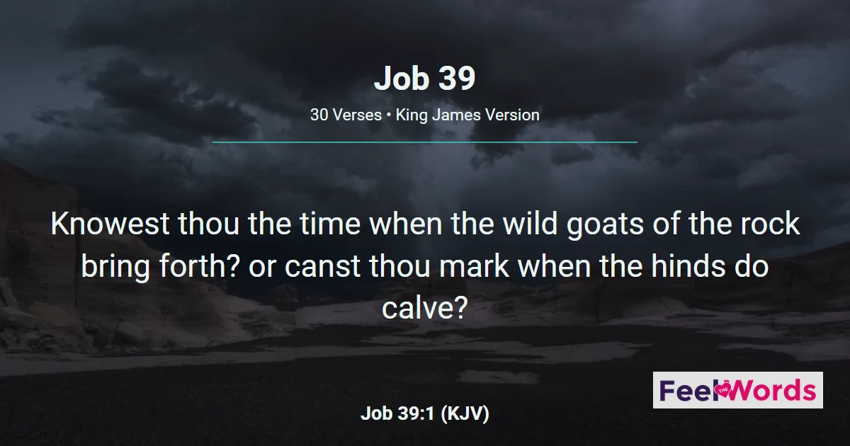 Job 39 - God Questions Job on the Animals