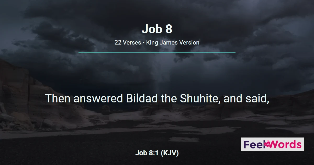 Job 8: Bildad's First Speech to Job