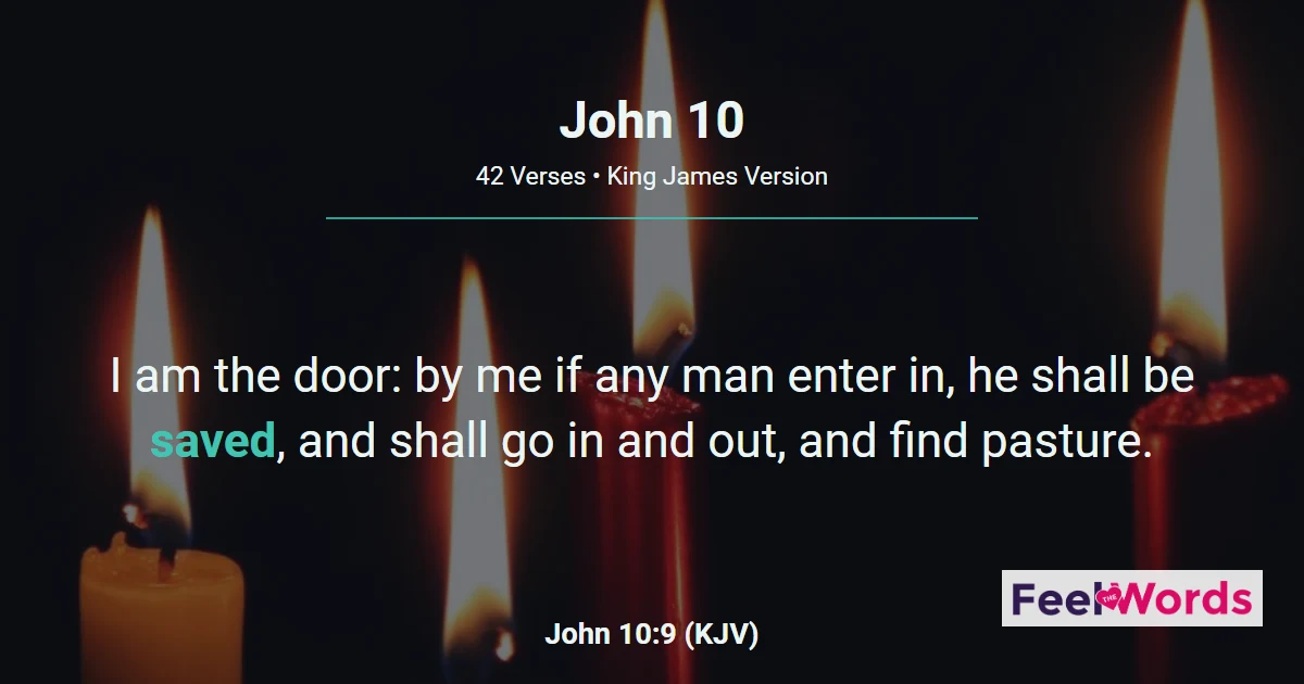John 10: The Good Shepherd