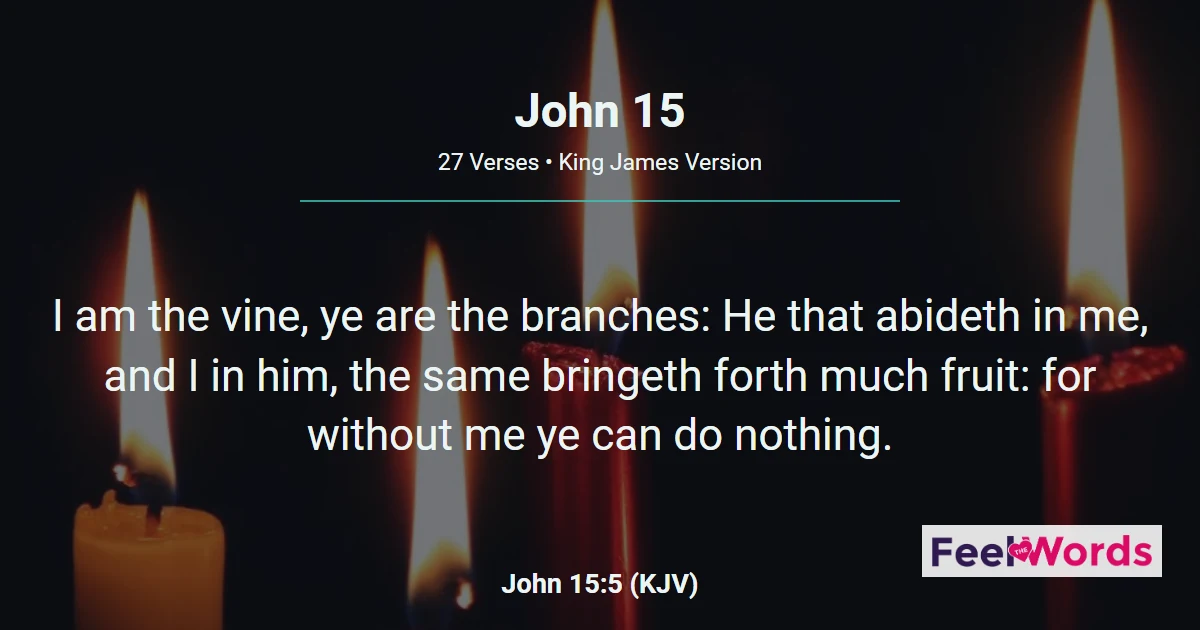 John 15: The True Vine
