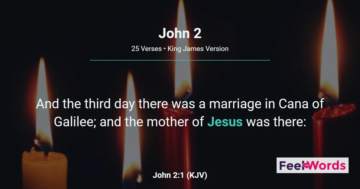 John 2: Water Turned Into Wine at Cana