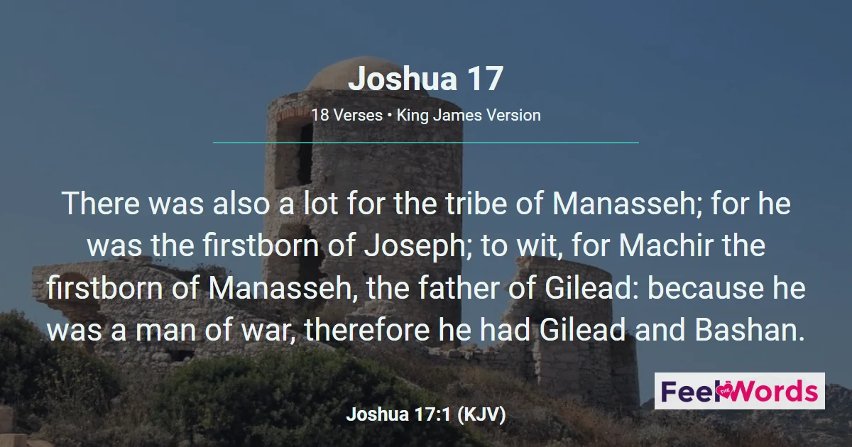 Joshua 17: Manasseh's Land