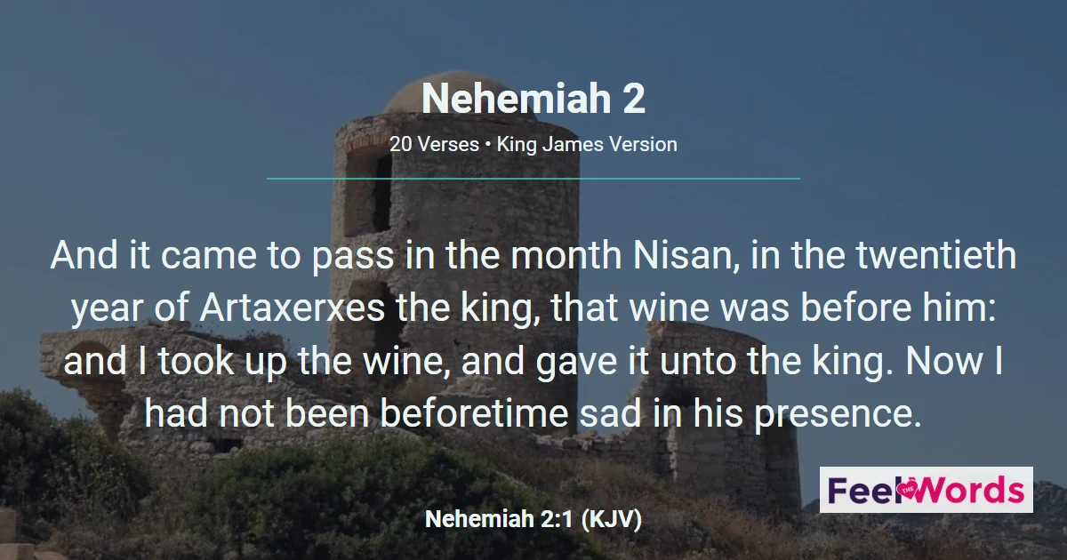 Nehemiah 2: Nehemiah Inspects the Walls