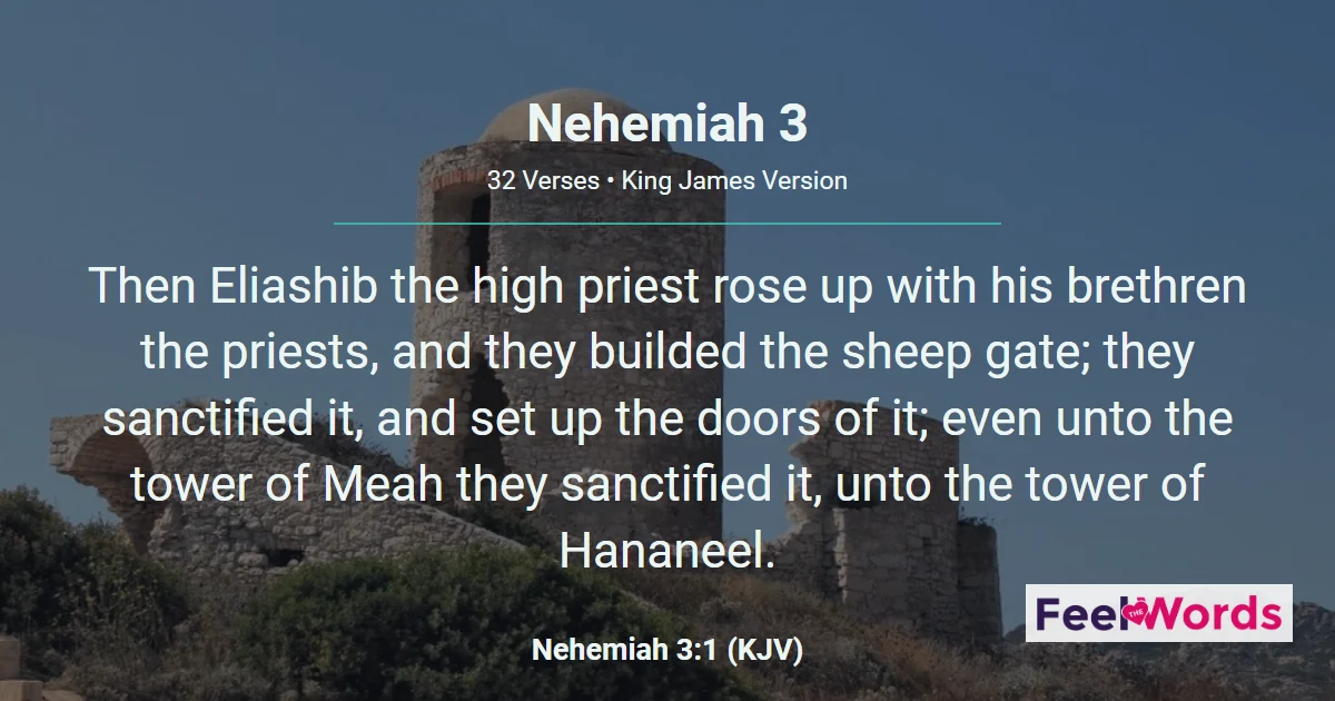 Nehemiah 3: The Builders of the Wall