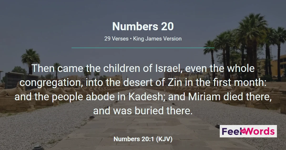 Numbers 20: Water From the Rock at Meribah