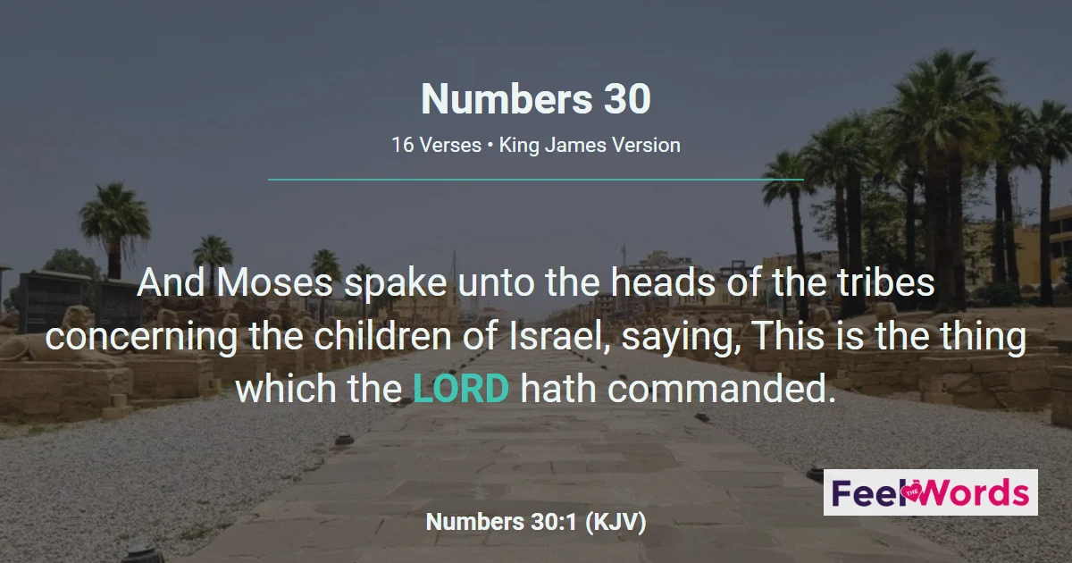 Numbers 30: Laws of Vows