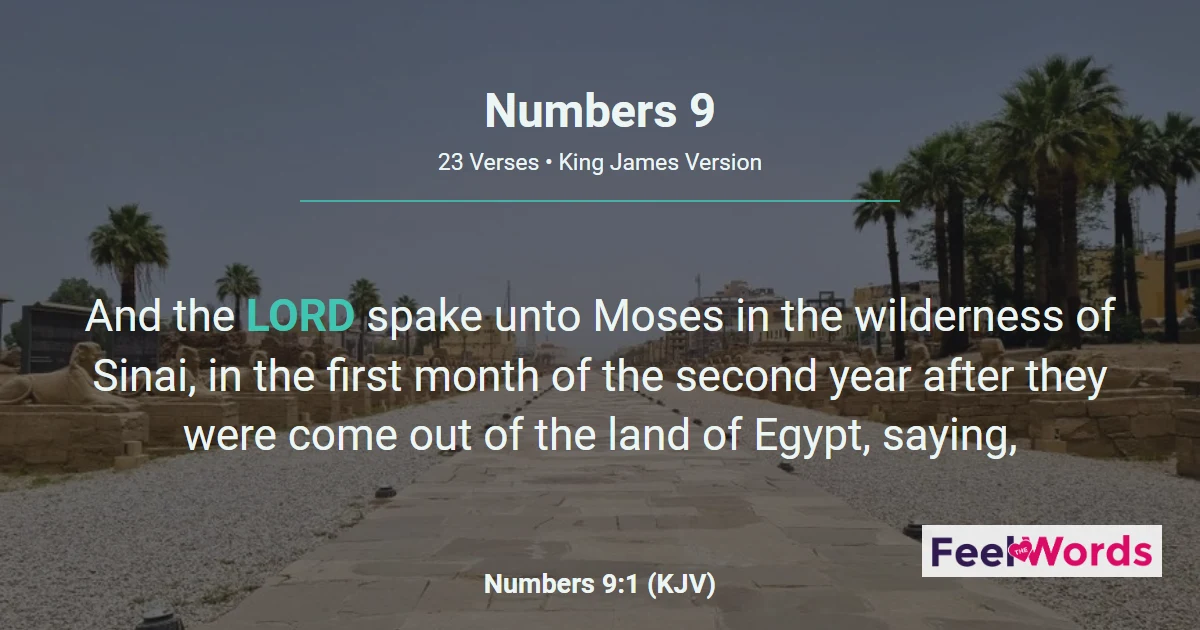Numbers 9: Passover and the Guiding Cloud