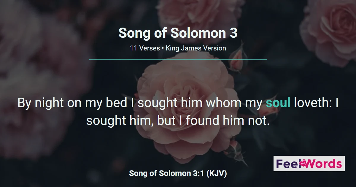 Song of Solomon 3 - Seeking Him By Night