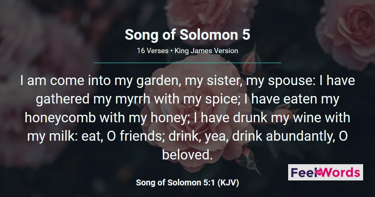 Song of Solomon 5 - My Beloved Knocks