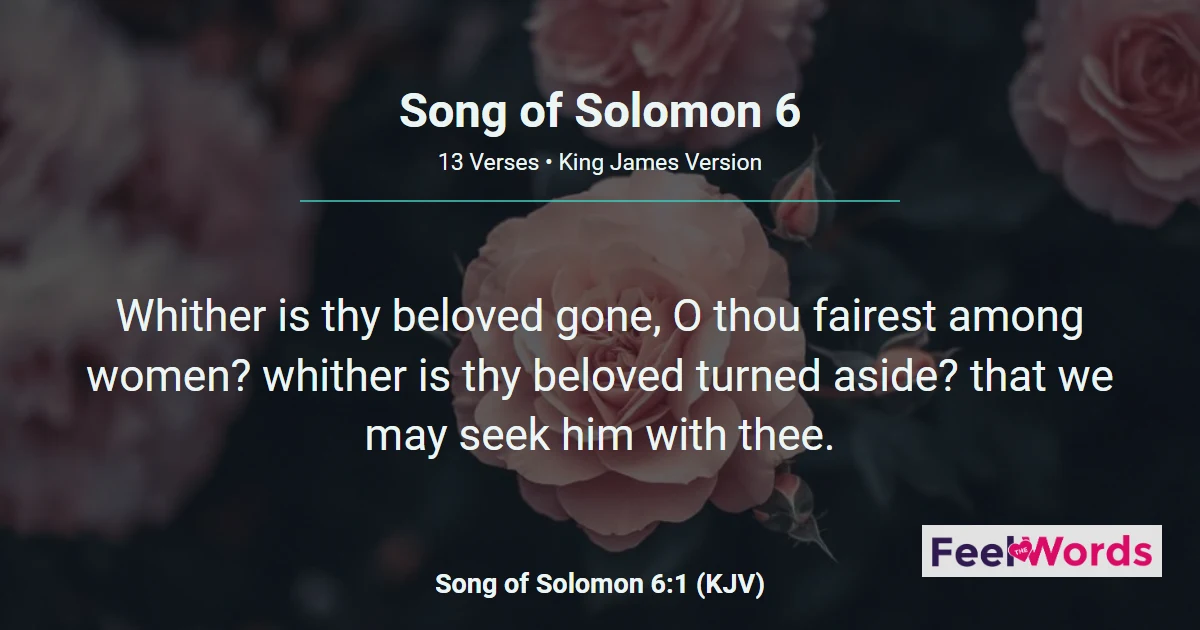 Song of Solomon 6 - I Am My Beloved's