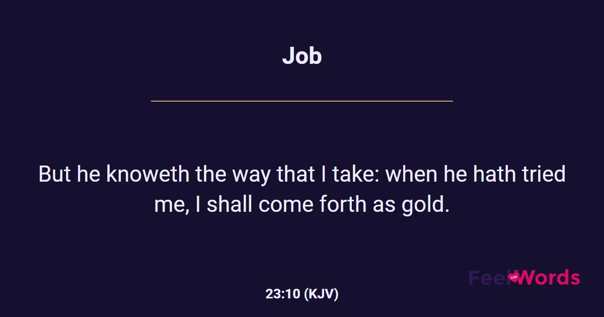 Job 23:10 (KJV) - Bible Verse