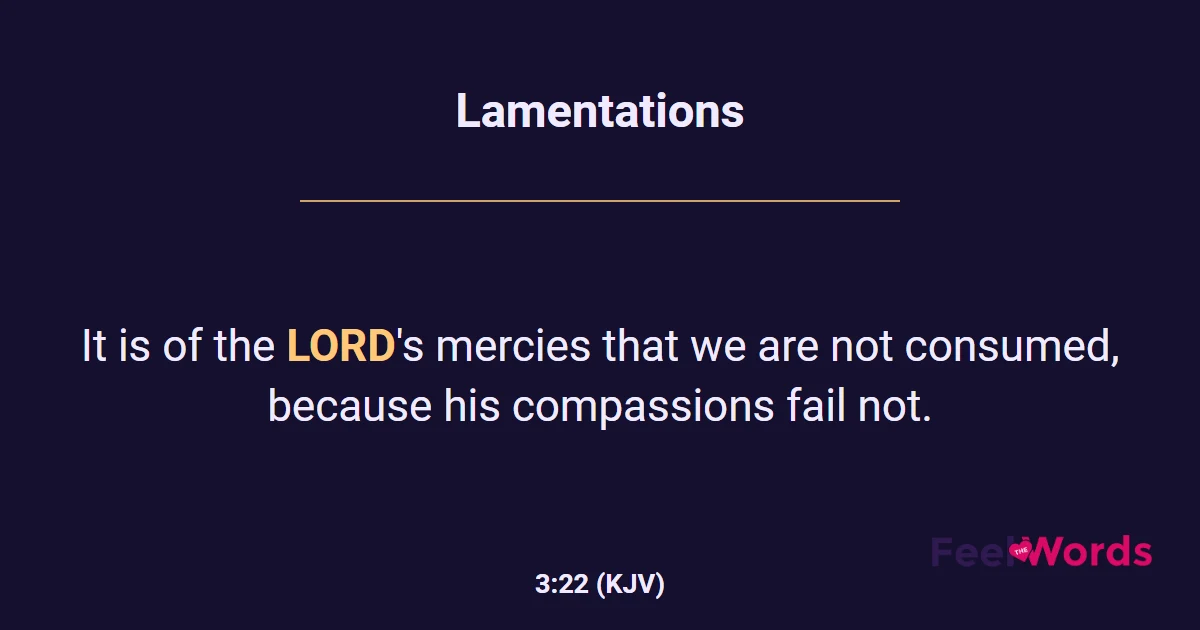 Lamentations 3:22 (KJV) - Bible Verse