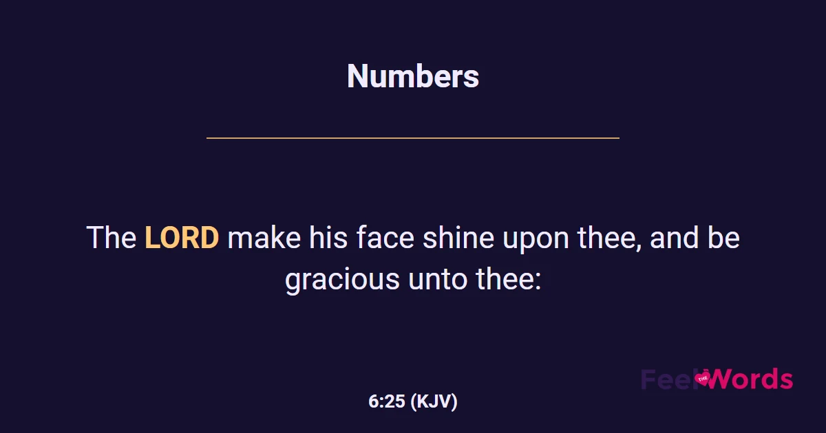 Numbers 6:25 (KJV) - Bible Verse