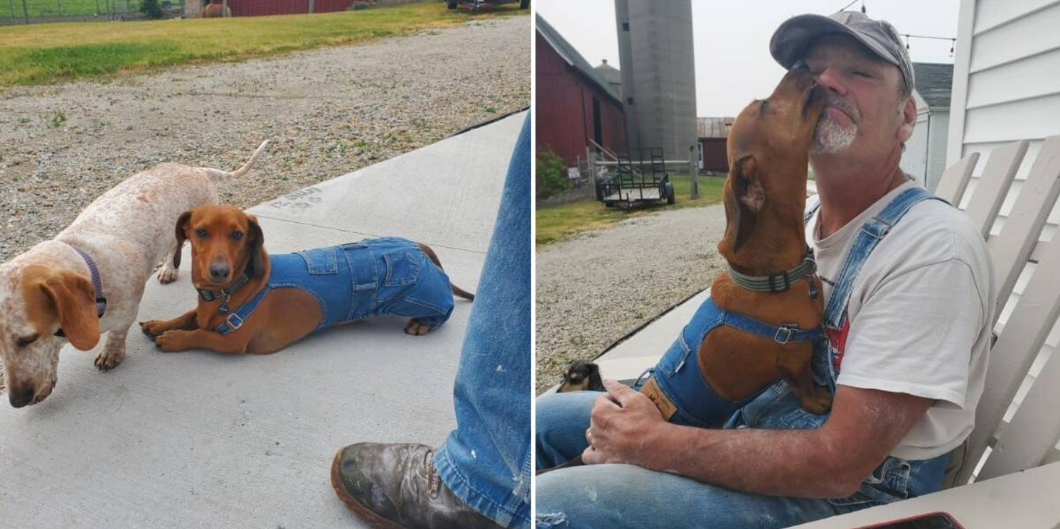 On father’s day, an adorable surprise was prepared for dad, who takes his overalls very seriously…