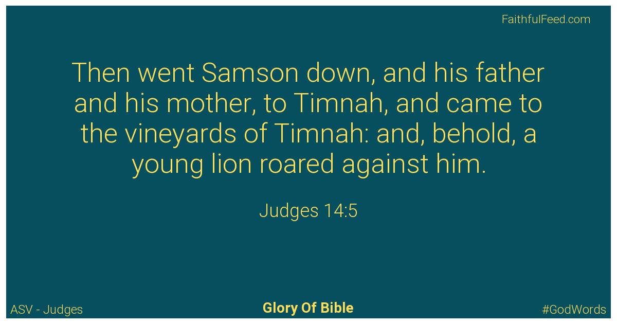 Judges 14:5 - Asv